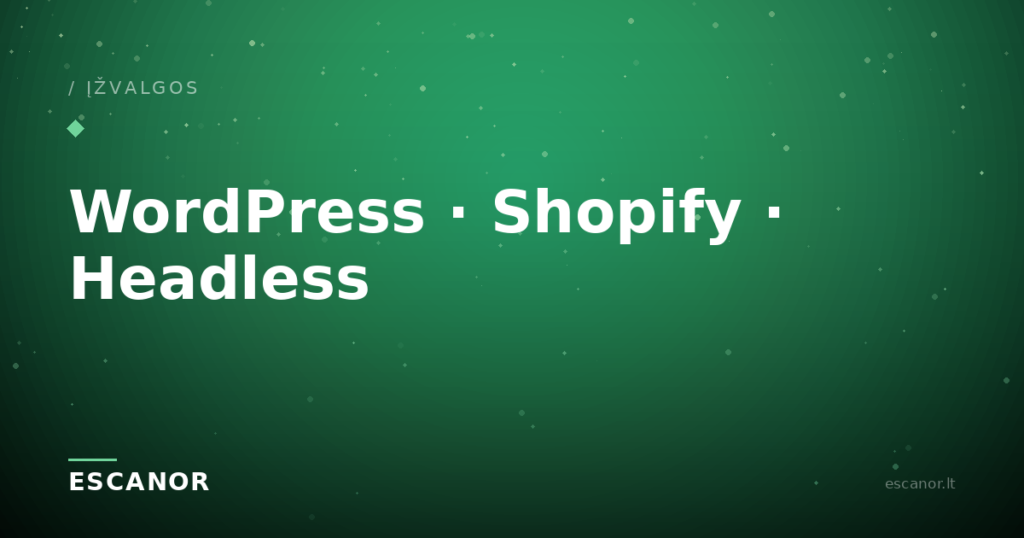 WordPress, Shopify ar Headless: kaip pasirinkti verslui (be techninių galvosūkių)