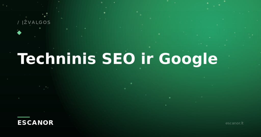 SEO ir struktūriniai duomenys verslui: kaip gauti daugiau nemokamo srauto iš Google