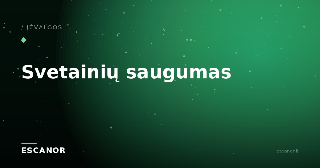 Svetainių saugumas verslui: kiek kainuoja įsilaužimas ir kaip apsisaugoti