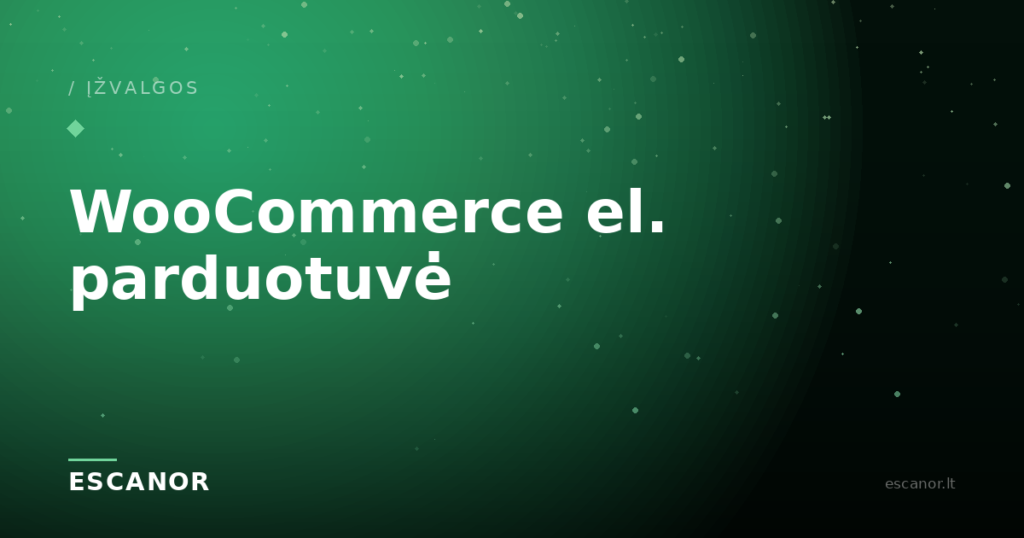 WooCommerce el. parduotuvė verslui: daugiau pardavimų be techninių rūpesčių